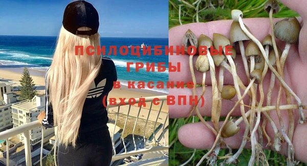 альфа пвп Бугульма