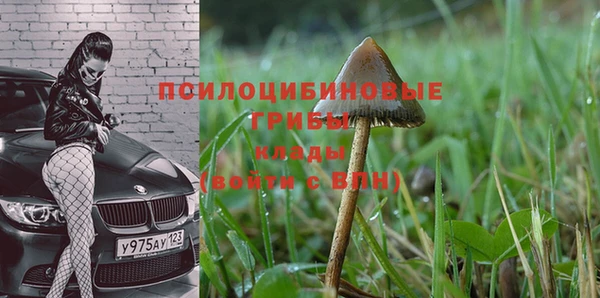 альфа пвп Бугульма