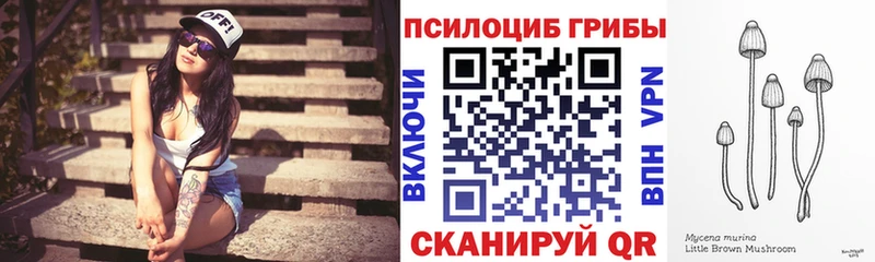 как найти закладки  Брюховецкая  Псилоцибиновые грибы прущие грибы 